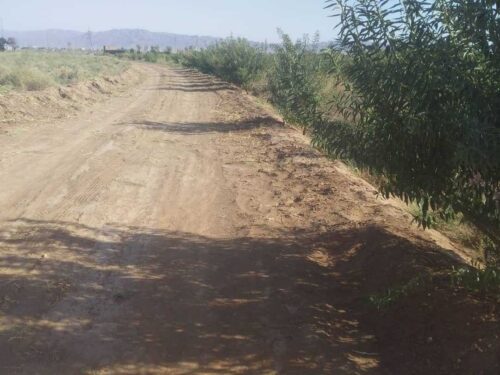 یک ونیم هکتار باغ پسته و بادام