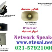 اسپیکر تحت شبکه
