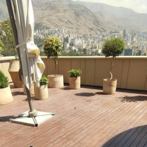 فروش چوب ترمو وود - Image 4