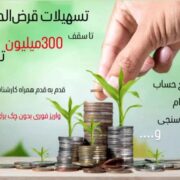 تسهیلات فوری