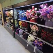 یخچال ایستاده پرده هوا