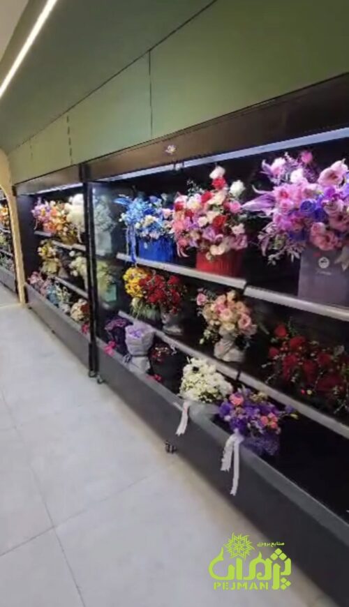 یخچال ایستاده پرده هوا