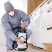 سمپاشی ساس سوسک موش کنه موریانه بید کک گال مایت شپش